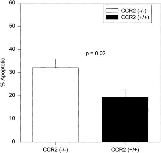 Fig. 3. Average percentages of apoptotic c-kit+/lin− cells in BM. c-kit+lin− cells were gated separately from the remainder of the BM population and analyzed for MC540 fluorescence intensity (MC540 bright cells represent the apoptotic fraction of the gated population). The same mice used to obtain results in Fig 1 were assessed independently in two separate experiments. The bars represent the mean ± 1 SEM.