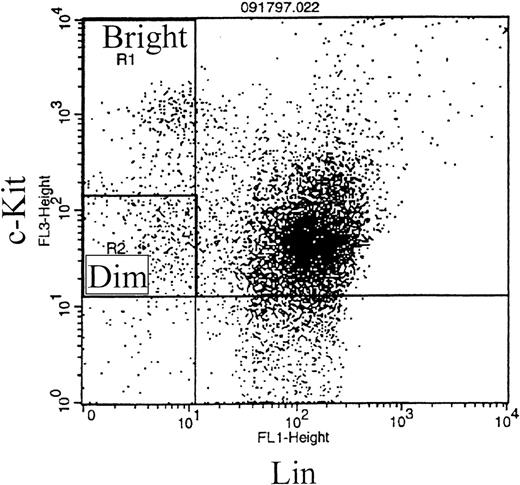 Fig. 4. Representative dot plot that distinguishes c-kitbrightlin− from c-kitdimlin− cells. The upper left-hand quadrant (c-kit+lin−) can be divided into two separate subpopulations as shown: c-kitbrightlin− and c-kitdimlin−.
