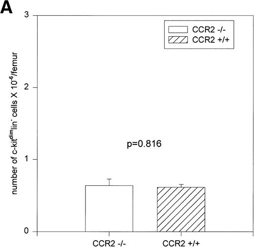 Fig. 6. Absolute numbers of c-kitdimlin− (A) and c-kitbrightlin− (B) cells per femur as assessed in 10 CCR2 (−/−) and 9 CCR2 (+/+) individual mice from two experiments. The bars represent the mean ± 1 SEM.