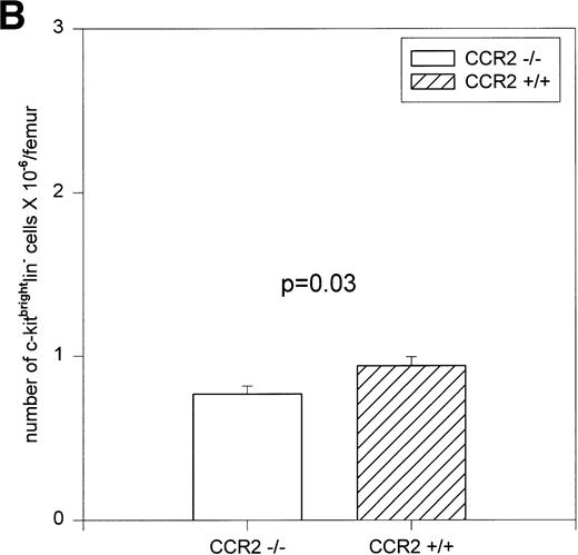 Fig. 6. Absolute numbers of c-kitdimlin− (A) and c-kitbrightlin− (B) cells per femur as assessed in 10 CCR2 (−/−) and 9 CCR2 (+/+) individual mice from two experiments. The bars represent the mean ± 1 SEM.