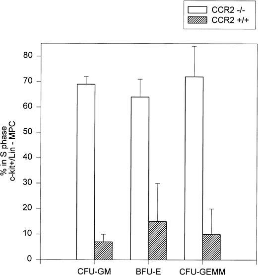 Fig. 7. Cycling rates of myeloid progenitors in c-kit+lin− BM. The cycling rates of progenitors were determined by tritiated thymidine kill assay of sorted c-kit+lin− BM cells. Results represent the mean ± range of the assessment of separated cells from two individual mice each from the CCR2 (−/−) and (+/+) groups in which 1,000 cells were plated in methylcellulose in the presence of Epo, PWMSCM, and SLF.