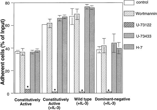 Fig. 6. Effects of inhibitor compounds on constitutively active type H-Ras–transfected Baf3 cells (designated as constitutively active) adhesion to FN without IL-3 stimulation and constitutively active type H-Ras–transfected Baf3 cells, wild-type H-Ras–transfected Baf3 cells (designated as wild-type), and dominant-negative type H-Ras–transfected Baf3 cells (designated as dominant-negative) adhesion to FN induced by IL-3. Those transfected Baf3 cells were labeled with 51Cr and incubated at 37°C for 30 minutes in the absence or presence of 100 nmol/L wortmannin, 1 μmol/L U-73122, 1 μmol/L U-73433, or 50 μmol/L H-7. Cells were subsequently transferred to FN-coated wells and incubated for an additional 30 minutes at 37°C with or without 0.1 ng/mL IL-3, and the percentage of adherent cells was measured. Data represent the means (±SD) of triplicate samples from a representative experiment of three. None of the inhibitor compounds had an effect on viability of the cells. *P value (P < .01) comparing adhesion blocked by U-73122 with control adhesion.