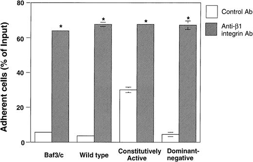 Fig. 7. Induction of the adhesion to FN of nontransfected Baf3 cells (designated as Baf3/c), wild-type H-Ras–transfected Baf3 cells (designated as wild-type), constitutively active type H-Ras–transfected Baf3 cells (designated as constitutively active), and dominant-negative type H-Ras–transfected Baf3 cells (designated as dominant-negative) by anti-β1 integrin antibody (clone; 9EG7). These Baf3 cells were labeled with 51Cr and incubated at 37°C for 30 minutes in the presence of 5 μg/mL of anti-β1 integrin antibody (clone; 9EG7) or isotype-matched control antibody. Cells were subsequently transferred to FN-coated wells and incubated at 37°C for an additional 30 minutes, and the percentage of adherent cells was measured. Data represent the means (±SD) of triplicate samples from a representative experiment of three. *P value (P < .01) comparing adhesion induced by anti-β1 integrin antibody with the control antibody.