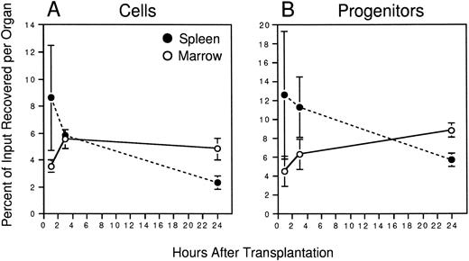 Fig. 2. Homing of murine BM cells. 108 PKH26-labeled BM cells were injected into lethally irradiated hosts. At the indicated times, recipient BM and spleen cells were counted to determine whole-organ cellularity, and the frequency of PKH26+cells in each determined by FACS. Labeled cells were sorted and assayed for CFCs together with an aliquot of labeled cells from the pretransplant suspension. Shown are the mean ± SEM percent recoveries of total cells (A) and CFCs (B) in BM (○) and spleen (•) for pooled data from 3 experiments (3 mice/time point). Values are derived from the formulae: % Cell Recovery = (% PKH26+ by FACS × whole-organ cellularity)/108, and % CFC Recovery = (CFC frequency in sorted PKH26+ cells × No. PKH26+ cells per organ)/(CFC frequency in pretransplant BM × 108). Differences in the recovery of total cells and CFCs is significant at 24 hours (P < .05); differences in the recovery of CFCs at 3 hours is significant to P = .1.