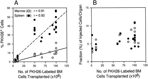 Fig. 3. Linearity of the homing assay. Lethally irradiated mice were injected with 106 to 1.2 × 108PKH26-stained BM cells. Three hours later, BM (○) and spleen (•) cells were analyzed by flow cytometry. (A) The percent of labeled cells in each organ is shown for 32 individual mice from 18 experiments. Correlation coefficients >0.9 demonstrate a linear relationship between hematopoietic cell homing and transplanted cell dose. (B) The values in A were multiplied by organ cellularity in each case to calculate the fraction of cells homing to BM or spleen relative to the number transplanted. The essentially flat scatter of points over the x-axis demonstrates that hematopoietic cell homing is largely independent of graft size over the range of cell doses normally transplanted.