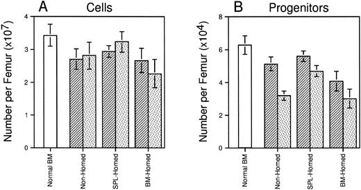 Fig. 5. Long-term regeneration of marrow cellularity and CFCs in primary and secondary recipients of cells selected on the basis of marrow or splenic homing. Shown are the mean ± SEM number of cells (A) and CFCs (B) per femur in lethally irradiated primary mice (▨) injected 120 days previously with BM-homed, SPL-homed, or nonhomed cells. Lethally irradiated secondary mice were transplanted with 0.5 femur/mouse and analyzed 10 weeks later (). Hematologic parameters for age-matched normal B6.SJL mice are shown for comparison (□). Pooled data from 5 to 14 mice/population. Differences in femoral cellularity between secondary recipients of BM-homed and SPL-homed cells are significant to P = .1; differences in femoral CFC content between primary recipients of BM-homed and SPL-homed cells are significant to P < .05, and between secondary recipients of SPL-homed cells and either BM-homed or nonhomed cells are significant to P < .05.