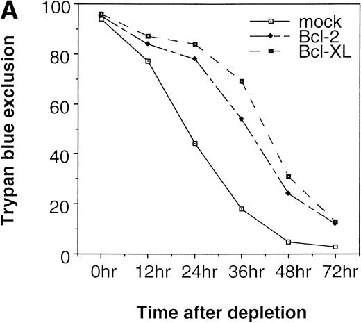 Fig. 2. Expression of cell-survival genes, Bcl-2 and Bcl-XL, is not sufficient for the erythroid colony formation from CFU-E in fetal liver cells but enhances erythroid colony formation from CFU-E in response to EPO. (A) Expression of Bcl-2 or Bcl-XL in Ba/F3 cells prolongs cell survival. Ba/F3 cells were infected with retrovirus encoding Bcl-2 or Bcl-XL or the empty virus vector. GFP-positive cells were collected by FACS and cultured in the absence of cytokine, and their viability was monitored by the Trypan blue exclusion assay. (B) Fetal liver cells were infected with retrovirus encoding Bcl-2 or Bcl-XL or the empty virus vector. GFP-positive cells were collected by FACS. P shows the GFP-positive cell population subjected to the CFU-E assays. (C) Sorted GFP-positive cells were subjected to in vitro colony assays. The relative CFU-E colony numbers were calculated as the ratio of CFU-E colony numbers of fetal liver cells infected with retrovirus vector without any cDNA insert. The mean ± SEM for five independent experiments are shown.