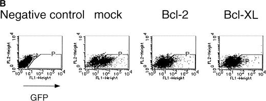 Fig. 2. Expression of cell-survival genes, Bcl-2 and Bcl-XL, is not sufficient for the erythroid colony formation from CFU-E in fetal liver cells but enhances erythroid colony formation from CFU-E in response to EPO. (A) Expression of Bcl-2 or Bcl-XL in Ba/F3 cells prolongs cell survival. Ba/F3 cells were infected with retrovirus encoding Bcl-2 or Bcl-XL or the empty virus vector. GFP-positive cells were collected by FACS and cultured in the absence of cytokine, and their viability was monitored by the Trypan blue exclusion assay. (B) Fetal liver cells were infected with retrovirus encoding Bcl-2 or Bcl-XL or the empty virus vector. GFP-positive cells were collected by FACS. P shows the GFP-positive cell population subjected to the CFU-E assays. (C) Sorted GFP-positive cells were subjected to in vitro colony assays. The relative CFU-E colony numbers were calculated as the ratio of CFU-E colony numbers of fetal liver cells infected with retrovirus vector without any cDNA insert. The mean ± SEM for five independent experiments are shown.