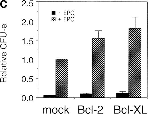 Fig. 2. Expression of cell-survival genes, Bcl-2 and Bcl-XL, is not sufficient for the erythroid colony formation from CFU-E in fetal liver cells but enhances erythroid colony formation from CFU-E in response to EPO. (A) Expression of Bcl-2 or Bcl-XL in Ba/F3 cells prolongs cell survival. Ba/F3 cells were infected with retrovirus encoding Bcl-2 or Bcl-XL or the empty virus vector. GFP-positive cells were collected by FACS and cultured in the absence of cytokine, and their viability was monitored by the Trypan blue exclusion assay. (B) Fetal liver cells were infected with retrovirus encoding Bcl-2 or Bcl-XL or the empty virus vector. GFP-positive cells were collected by FACS. P shows the GFP-positive cell population subjected to the CFU-E assays. (C) Sorted GFP-positive cells were subjected to in vitro colony assays. The relative CFU-E colony numbers were calculated as the ratio of CFU-E colony numbers of fetal liver cells infected with retrovirus vector without any cDNA insert. The mean ± SEM for five independent experiments are shown.