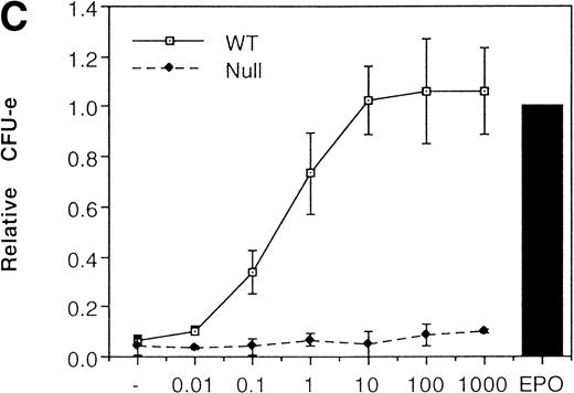 Fig. 3. Erythroid colony formation from CFU-E by chimeric receptors. (A) Fetal liver cells were infected with retrovirus encoding the EGFR-EPOR chimeric receptor and stained with anti-EGFR antibody (Amersham, Uppsala, Sweden). The EGFR-positive cells were sorted by FACS. P shows EGFR-positive cell populations used for the CFU-E assays. (B) The EGFR-positive cells shown as P in (A) were reanalyzed. The vertical axis is cell numbers and the horizontal axis is FITC fluorescence. (C) Sorted EGFR-positive cells were subjected to in vitro colony assays without cytokine or with EPO or EGF at a concentration indicated. The relative CFU-E colony numbers were calculated by dividing the CFU-E colony numbers obtained with the EGF stimulation by that of EPO stimulation. The means ± SEM for three experiments are shown.