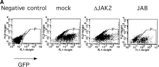 Fig. 4. JAK2 plays an essential role in EPO-mediated erythroid differentiation. (A) Fetal liver cells infected with retrovirus encoding ▵JAK2 or JAB or the virus vector and GFP-positive cells were collected by FACS. P shows GFP-positive cell populations used for the CFU-E assays. (B) Sorted GFP-positive cells were subjected to in vitro colony assays. The relative CFU-E colony numbers were calculated as in Fig 2C. (C) Fetal liver cells infected with retrovirus encoding EGFR-JAK2 were stained with anti-EGFR antibody, and the EGFR-positive cells were sorted by FACS. P shows EGFR-positive cell populations used for the CFU-E assays. (D) The EGFR-positive cells were subjected to in vitro colony assays without cytokine or with EPO or EGF at a concentration indicated. The relative CFU-E colony numbers were calculated as in Fig 3B.