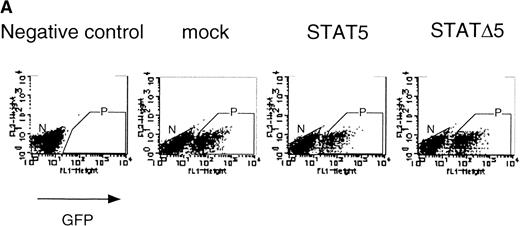 Fig. 6. C-terminal truncation mutant of STAT5 (▵STAT5) inhibited STAT5 activation in Ba/F3 cells. (A) Ba/F3 cells were infected with retrovirus encoding STAT5, ▵STAT5, or the virus vector, and GFP-positive cells were sorted by FACS. P shows the GFP-positive cell populations, whereas N shows the GFP-negative cell populations used for the analysis. (B) GFP-positive and -negative cells were examined for the expression of STAT5b and ▵STAT5 by Western blotting. Sorted cells were lysed and subjected to sodium dodecyl sulfate-polyacrylamide gel electrophoresis and blotted with anti-STAT5 monoclonal antibody (Transduction Laboratory, Lexington, KY). (C) Effect of ▵STAT5 on the transactivation of β-casein Luciferase reporter. GFP-positive and -negative cells were cultured in the presence of 1 ng/mL IL-3 for 24 hours and subjected to the luciferase assays. The relative Luciferase activity was calculated as the ratio of the Luciferase activity of GFP-positive cells infected with the retrovirus vector stimulated with IL-3. The means ± SEM for three experiments are shown.