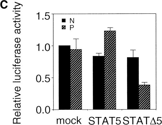 Fig. 6. C-terminal truncation mutant of STAT5 (▵STAT5) inhibited STAT5 activation in Ba/F3 cells. (A) Ba/F3 cells were infected with retrovirus encoding STAT5, ▵STAT5, or the virus vector, and GFP-positive cells were sorted by FACS. P shows the GFP-positive cell populations, whereas N shows the GFP-negative cell populations used for the analysis. (B) GFP-positive and -negative cells were examined for the expression of STAT5b and ▵STAT5 by Western blotting. Sorted cells were lysed and subjected to sodium dodecyl sulfate-polyacrylamide gel electrophoresis and blotted with anti-STAT5 monoclonal antibody (Transduction Laboratory, Lexington, KY). (C) Effect of ▵STAT5 on the transactivation of β-casein Luciferase reporter. GFP-positive and -negative cells were cultured in the presence of 1 ng/mL IL-3 for 24 hours and subjected to the luciferase assays. The relative Luciferase activity was calculated as the ratio of the Luciferase activity of GFP-positive cells infected with the retrovirus vector stimulated with IL-3. The means ± SEM for three experiments are shown.