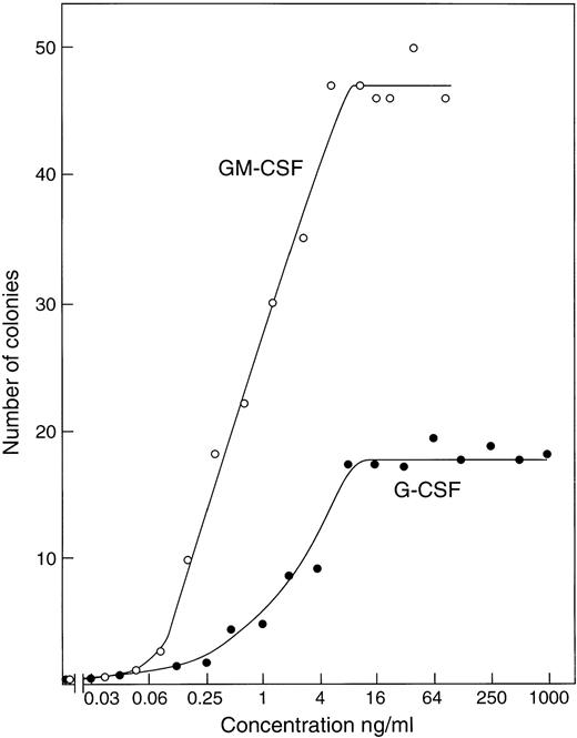 Fig. 1. Stimulation of colony formation by recombinant GM-CSF or G-CSF in agar cultures of 50,000 control C57BL6x129Sv bone marrow cells. Each point represents the mean value from duplicate cultures.