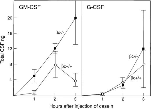 Fig. 5. GM-CSF and G-CSF concentrations in the peritoneal cavity fluid of βc+/+ and βc−/− mice at intervals after the intraperitoneal injection of casein. Figures are expressed as total nanograms of CSF in the 3-mL fluid volume collected after harvesting. Each point is the mean value ± SD from two female and one male mice of each genotype per timepoint.