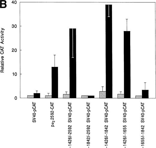 Fig. 2. A schematic diagram of the 2 promoter-CAT construct and the megakaryocytic enhancer in the irrelevant promoter construct SV40pCAT. (A) The construct p22592-CAT contains the entire 5′ flanking region from bp −2592 to +109 of the 5′ untranslated region of the 2 integrin gene upstream to the CAT structural gene. The construct −1426/−2592 SV40pCAT consists of the megakaryocyte enhancer region extending from bp −1426 to −2592 in the irrelevant promoter construct SV40pCAT. Constructs −1842/−2592 SV40pCAT, −1426/−1842 SV40pCAT, −1426/−1655 SV40pCAT, and −1426/−1542 SV40pCAT were derived from the construct −1426/−2592 SV40pCAT. (B) The 1,166-bp region of the distal 5′ flank serves as a megakaryocytic enhancer. The constructs p22592-CAT, −1426/−2592 SV40pCAT, −1842/−2592 SV40pCAT, −1426/−1842 SV40pCAT, −1426/−1655 SV40pCAT, and −1655/−1842 SV40pCAT were transfected in parallel with the SV40pCAT plasmid that contains the strong viral promoter SV40 without an enhancer into either uninduced (⊠) or induced (▪) K562 cells. Cotransfection with RSV-luciferase was used to control for transfection efficiency. After 48 hours of incubation, cell extracts were assayed. After normalization for transfection efficiency, CAT activity of the constructs was determined using thin-layer chromatography and differential extraction. The mean and standard deviation of CAT activity of the mutated constructs in uninduced or induced K562 cells from three separate experiments was determined relative to the activity of SV40pCAT in uninduced K562 cells, which was assigned a value of 1.0.