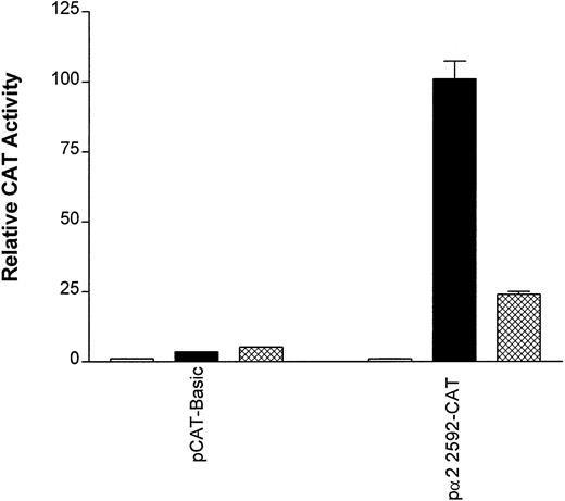 Fig. 10. Diminution of 2 promoter/enhancer function by PD98059. The constructs pCAT-Basic and p22592-CAT were transfected into uninduced K562 cells (□), K562 cells treated with PDB (40 nmol/L; ▪), and K562 cells treated for 15 minutes with PD98059 (50 μmol/L) before the addition of PDB (40 nmol/L; ⊠). Cotransfection with RSV-luciferase was used to control for transfection efficiency. After 48 hours of incubation, cell extracts were assayed. After normalization for transfection efficiency, CAT activity of the constructs was determined using thin-layer chromatography. The mean and standard deviation of CAT activity in uninduced K562 cells, PDB-induced K562 cells, or K562 cells treated with PD98059 and PDB was determined. CAT activity relative to the pCAT-Basic construct in uninduced K562, which was assigned a value of 1.0, is shown.