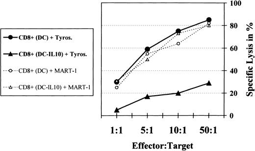 Fig. 5. Anergic tyrosinase-specific CTL fail to lyse tumor cells. Control (precultured with untreated DC) and anergic (precultured with IL-10–treated DC) tyrosinase-specific HLA.A2+CD8+ T cells were cocultured with the HLA.A2+ tyrosinase-expressing melanoma cell line SK-MEL 28 in a 51Cr-release assay for 4 hours. Experiments with specific CD8+ T cells cocultured with MART-1 during the primary culture served as controls. Various effector:T-cell ratios were used in the experimental setting. The percentage of specific lysis was calculated from the average of triplicates as 100 × (51Cr-release into supernatant − spontaneous release)/(total release in detergent − spontaneous release). All synthetic peptides were tested for nonspecific lysis of target cells in the absence of CTL.