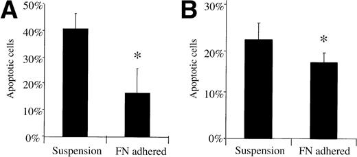 Fig. 2. Annexin V stained FN-adhered myeloma cells have a lower apoptotic fraction compared to nonadhered cells following acute drug exposure. 8226/S myeloma cells were exposed to 1 μmol/L doxorubicin for 1 hour (A) or 50 μmol/L melphalan for 24 hours (B), stained by Annexin V 24 hours later, then analyzed by flow cytometry. Histograms are adjusted for background staining in untreated cells, bars are the SD of three different experiments; ∗, P < .05.