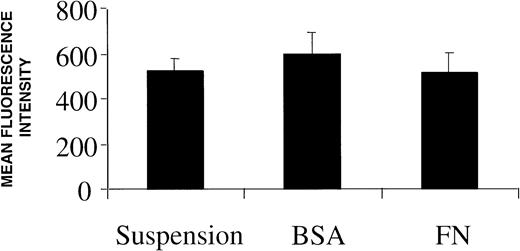 Fig. 4. Intracellular doxorubicin concentration is unaffected by culturing cells on plastic, BSA, or FN. Following a 24-hour incubation on each surface, 10 μmol/L doxorubicin was added to each well for 1 hour and cells were analyzed for drug accumulation differences by flow cytometry. Bars are the SD of n = 6 from two independent experiments.