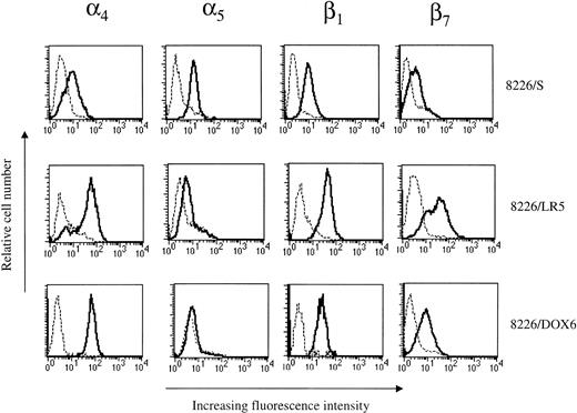 Fig. 5. Phenotypic analysis of 8226 cell surface FN receptor expression by flow cytometry. Integrin subunit expression by drug-sensitive (8226/S), melphalan-resistant (8226/LR5), and doxorubicin-resistant (8226/DOX6) cell lines were analyzed using MoAbs for 4, 5, β1, and β7. Cells were incubated with an integrin-specific MoAb (—) or with irrelevant control Ab (---), followed by incubation with FITC-conjugated secondary Ab. Ten thousand events were analyzed for each sample using a FACScan machine (Becton-Dickinson); histograms are representative of three different experiments.