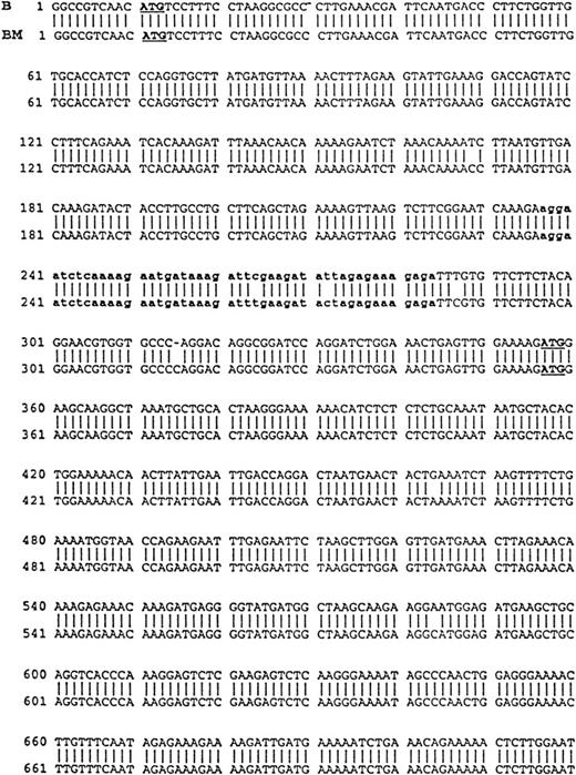 Fig. 3. Comparison of B-cell and plasma cell RHAMM. RHAMM cDNA fragments were amplified from MM B cells and BM plasma cells by RT-PCR with RHAMM-specific primers and subsequently cloned and sequenced. The nucleotide sequences of the RHAMM fragments were aligned to generate the sequence of B-cell RHAMMFL and BM plasma cell RHAMMFL. The 48-bp deletion and the 147-bp deletion that characterize RHAMM−48 and RHAMM−147,respectively, are marked in bold lowercase. The 2 ATG start codons (base 18-20 and base 363-365) and TAA stop codon (base 2197-2199), previously described for breast RHAMM, plus the 2 HA-binding domains are underlined.