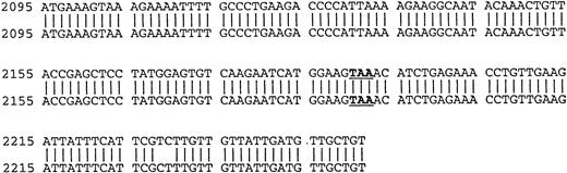 Fig. 3. Comparison of B-cell and plasma cell RHAMM. RHAMM cDNA fragments were amplified from MM B cells and BM plasma cells by RT-PCR with RHAMM-specific primers and subsequently cloned and sequenced. The nucleotide sequences of the RHAMM fragments were aligned to generate the sequence of B-cell RHAMMFL and BM plasma cell RHAMMFL. The 48-bp deletion and the 147-bp deletion that characterize RHAMM−48 and RHAMM−147,respectively, are marked in bold lowercase. The 2 ATG start codons (base 18-20 and base 363-365) and TAA stop codon (base 2197-2199), previously described for breast RHAMM, plus the 2 HA-binding domains are underlined.