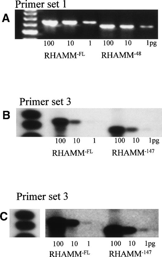Fig. 8. Comparison of primer efficiency. (A) 100 pg, 10 pg, and 1 pg of RHAMMFL and RHAMM−48 were amplified with primer set 1. The amplification products for RHAMMFL(666 bp) and RHAMM−48 (613 bp) were analyzed by gel electrophoresis and visualized by ethidium bromide staining. (B and C) 100 pg,10 pg, and 1 pg of RHAMMFL and RHAMM−147 were amplified with primer set 3. The amplification products for RHAMMFL (989 bp) and RHAMM−147 (842 bp) were transferred to a nylon membrane and hybridized to a DIG-labeled RHAMM probe. RHAMM was detected by chemiluminescence; exposure was for 1 hour in (B) and for 10 hours in (C).