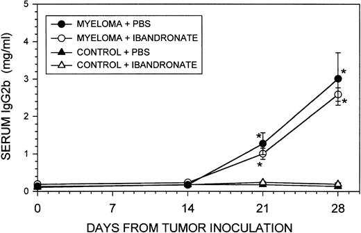 Fig. 6. Graph showing the effect of ibandronate treatment (4 μg per mouse per day) on serum IgG2b concentrations in 5TGM1 myeloma-bearing and control mice. Serum IgG2b levels were measured by ELISA. Data are mean ± SEM (n = 6). ∗, Significantly different from control + PBS. No significant differences were observed between myeloma-bearing animals treated with PBS or with ibandronate.