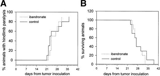 Fig. 7. Graphs showing the effect of ibandronate treatment (4 μg per mouse per day) on (A) hindlimb paralysis and (B) survival in 5TGM1 myeloma-bearing mice. Significant differences were not observed between myeloma-bearing mice treated with PBS or with ibandronate.