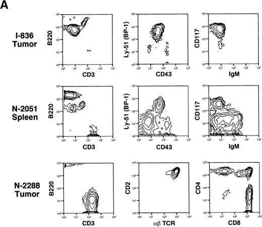 Fig. 3. Flow cytometric analysis and immunoglobulin gene rearrangement studies of tumor cells from transgenic animals. (A) Flow cytometric analysis of involved tissues from from affected mice. I-line mice and N-line mice with lymphoma phenotype (I-836) show a large population of early B cells (B220+, CD3−, CD43+, BP-1+, CD117+, IgM−) in lymph node tumors (shown), as well as in bone marrow, spleen, and peripheral blood (data not shown). N-line animals with leukemic phenotype (N-2051) do not have adenopathy, but show a similar immunophenotype in the spleen (shown), marrow and blood (not shown). Normal cells can also be seen in these samples. Cells from an N-line animal with mediastinal tumor phenotype (N-2288) show tumor cells that are CD3+, B220−, CD2+, aβTCR+, and both CD4+/CD8+, as well as CD4+/CD8− and CD4−/CD8+. (B-D) Immunoglobulin and T-cell receptor gene rearrangements in tumors from transgenic animals. (B)EcoRI digests, μVJ probe; faint low–molecular-weight bands in transgenic samples are due to nonspecific probe binding. (C)EcoRI + BamHI digests, kC probe; (D) HindIII digests, βTCR probe. Southern blot analyses of genomic DNA from tumor samples show clonal rearrangements of the immunoglobulin heavy-chain locus in I-line mice. The N-line founder shows a clonal rearrangement of the βTCR locus. Conversely, tumors from I-line mice do not show rearrangements of the kappa light-chain locus or βTCR locus. Genomic tail DNA from an unaffected littermate is used as a control and the germline bands are indicated by an arrow.