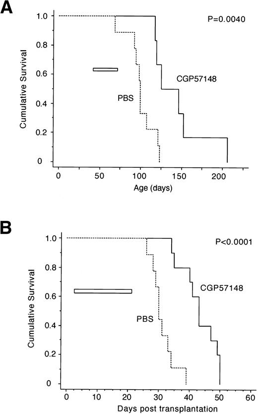 Fig. 5. Improved survival of Eμ-TEL/PDGFβR transgenic mice treated with the specific tyrosine kinase inhibitor CGP57148. (A) Premalignant mice model: 6 I-line mice between 5 and 7 weeks old without evidence of malignancy on examination were treated with daily IP injections of CGP57148 for 30 days (—). Concurrently, 9 similar animals were treated with PBS as a control (——). Time to development of overt malignancy is delayed and survival is improved in animals treated with CGP57148. (B) Tumor transplant model: tumor cells from an I-line mouse with massive lymphadenopathy were put into single-cell suspension, and 104 cells were injected into sublethally irradiated syngeneic mice. Ten were treated with CGP57148 (—) and 9 were treated with PBS (—-) for 21 days. Again, mice treated with CGP57148 had a statistically significant improvement in survival. In both figures, an open bar represents the duration and timing of CGP57148 or PBS.