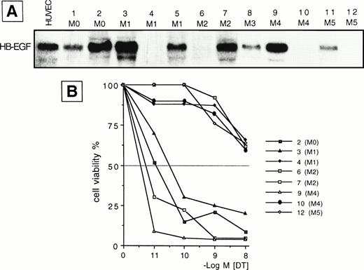 Fig. 2. (A) Northern blot analysis of HB-EGF mRNA expression in different subtypes of ex vivo AML blasts. Human umbilical vein endothelial cells (HUVEC) were used as positive control. (B) 48-hour DT dose-sensitivity curve for 8 representative cases (2, 3, 4, 6, 7, 9, 10, 12 in A), as evaluated by the MTT method. Only HB-EGF mRNA-positive leukemic cells (cases 2, 3, 7, 9) were sensitive to DT, indicating membrane expression of the HB-EGF molecule.