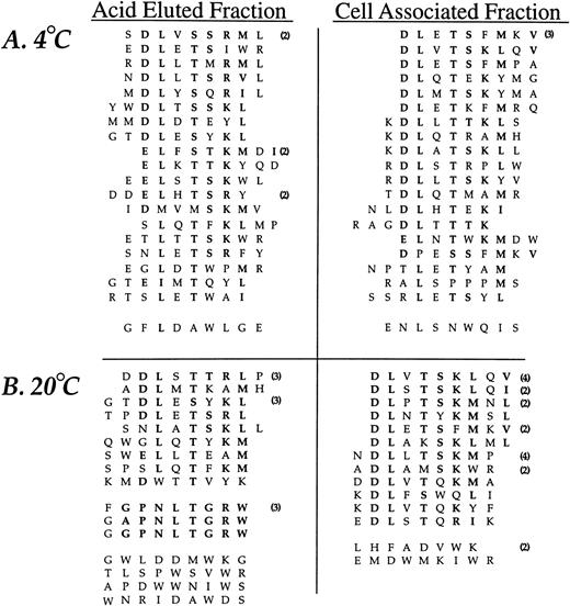Fig. 2. Neutrophil-binding phage peptide sequences isolated from the linear (X9) phage display library. The unique region of phage DNA recovered from the third round of affinity purification was sequenced and the motifs aligned to form the consensus DLXTSK(M/L)X(V/I/L) and GPNLTGRW, respectively. Identical residues and conservative substitutions are shown in bold. Following sets are considered to contain homologous amino acids (I, L, V), (K, R), (D, E), (S, T), (Y, F). The number of clones encoding the same peptide is shown in parentheses. The linker sequence at the amino terminus (GPP, not shown) was correctly displayed in all clones. Abbreviations for the amino acid residues are as follows: A, Ala; C, Cys; D, Asp; E, Glu; F, Phe; G, Gly; H, His; I, Ile; K, Lys; L, Leu; M, Met; N, Asn; P, Pro; Q, Gln; R, Arg; S, Ser; T, Thr; V, Val; W, Trp; and Y, Tyr.