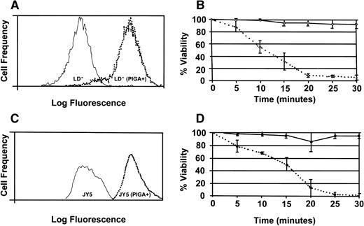 Fig. 4. Restoration of GPI-anchor expression in PNH cell lines overcomes resistance to aerolysin. Flow cytometric analysis for CD59 expression of LD− and JY5 cells before (solid line) and after (dotted line) stable transfection of the PIGA cDNA (A and C). (B) Viability of LD− (solid line) and LD−PIGA+ (dotted line) cells after exposure to 1 nmol/L aerolysin at 37°C. (D) Viability of JY5 (solid line) and JY5PIGA+ (dotted line) cells after exposure to 1 nmol/L aerolysin at 37°C. Cell viability was determined in triplicate at 5-minute intervals. Error bars represent the standard deviations.