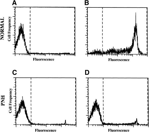 Fig. 5. PNH granulocytes are resistant to aerolysin. Representative example of normal and PNH granulocytes stained with propidium iodide before (A and C) and 40 minutes after (B and D) incubation with 1 nmol/L activated aerolysin. Propidium iodide uptake was assayed using flow cytometry.