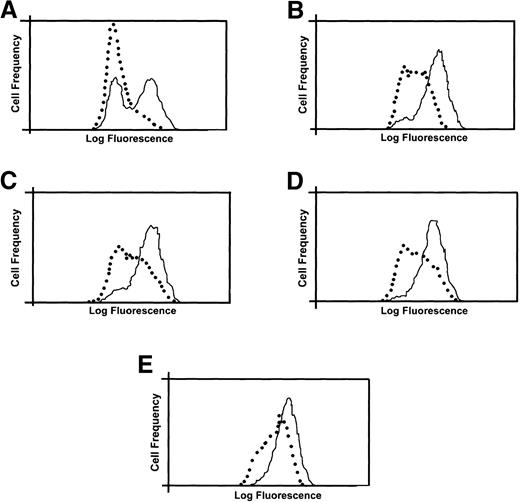 Fig. 7. Use of aerolysin to detect small PNH populations. LD− cells (10,000) were mixed with CD59-expressing CEM cells 1:1 (A), 1:10 (B), 1:100 (C), 1:500 (D), and 1:1,000 (E) and analyzed for expression of CD59 before (solid line) and after (dotted line) 30 minutes of exposure to 1 nmol/L aerolysin.