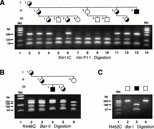 Fig. 4. Restriction analysis for confirmation of the exon 9 mutations. In all gels, the Std. lane contained the size standards generated by HaeIII digestion of ▹X174, (Pharmacia, Piscataway, NJ). (A) HinP1I restriction of exon 9 PCR products from the family 6 proband and other family members with the R411C mutation. (B) Elimination of a BanII restriction site confirms the presence of the R448Q mutation in members of family 7. (C)BsrI restriction of the PCR product from exon 9 of the family 9 proband (lane 3) confirmed the presence of the R452C mutation. The 2 normal controls (lanes 2 and 4) remained uncut.