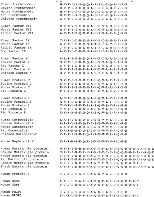 Fig. 2. The γ-carboxylation recognition sites of known vitamin K-dependent proteins. The propeptides of the vitamin K-dependent blood coagulation proteins contain a γ-carboxylation recognition site that directs carboxylation.8 A phenylalanine at position −16 and an alanine at position −10 are well conserved within the propeptides of carboxylase substrates, as are aliphatic hydrophobic residues (isoleucine, leucine, and valine) at position −17 and −15. Recent data suggest that, whereas phenylalanine at −16 is preferred, leucine, valine, and lysine at this position can also support carboxylation.31