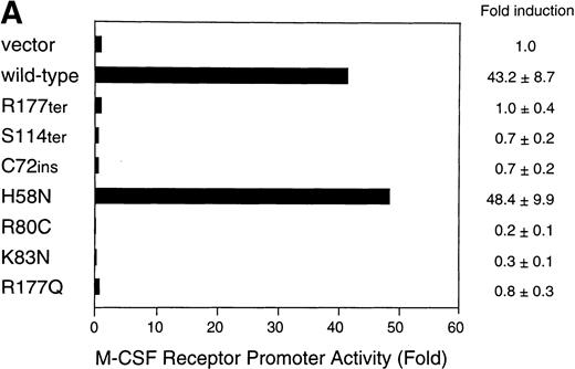 Fig. 5. Transactivation of the M-CSF receptor promoter by exogenously expressed AML1 proteins in U937 cells. (A) Cells were transfected with a reporter plasmid (8 μg) and indicated AML1 expression constructs (12 μg) by electroporation. Luciferase activities were measured and presented as the fold increase relative to the control transfected with the backbone expression vector. (B) The wild-type AML1 and missense AML1 mutants were coexpressed in varying doses as indicated. Transfection of plasmids was performed with the aid of a nonliposomal transfection reagent, FuGENE6. Luciferase activities are expressed as fold changes relative to the activity observed at the standard dose (0.2 μg) of the wild-type AML1 alone. In both (A) and (B), each value represents the mean of three separate experiments. Standard deviations of the measurements are given either numerically or by thin vertical bars.