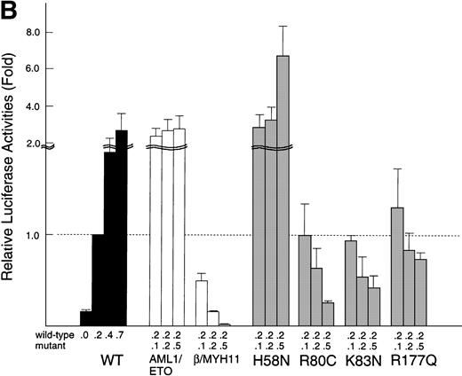 Fig. 5. Transactivation of the M-CSF receptor promoter by exogenously expressed AML1 proteins in U937 cells. (A) Cells were transfected with a reporter plasmid (8 μg) and indicated AML1 expression constructs (12 μg) by electroporation. Luciferase activities were measured and presented as the fold increase relative to the control transfected with the backbone expression vector. (B) The wild-type AML1 and missense AML1 mutants were coexpressed in varying doses as indicated. Transfection of plasmids was performed with the aid of a nonliposomal transfection reagent, FuGENE6. Luciferase activities are expressed as fold changes relative to the activity observed at the standard dose (0.2 μg) of the wild-type AML1 alone. In both (A) and (B), each value represents the mean of three separate experiments. Standard deviations of the measurements are given either numerically or by thin vertical bars.