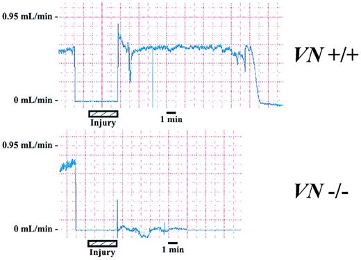 Fig. 1. Carotid artery blood flow tracings obtained from a wild-type mouse and a VN-deficient mouse. Period of ferric chloride injury is indicated by hatched bar. Artifactual reduction in flow during injury is due to removal of saline from the surgical site to allow application of FeCl3. Thrombotic occlusion occurs 18.7 minutes and ≤3.0 minutes after initiation of injury in theVN +/+ mouse and theVN −/− mouse, respectively.
