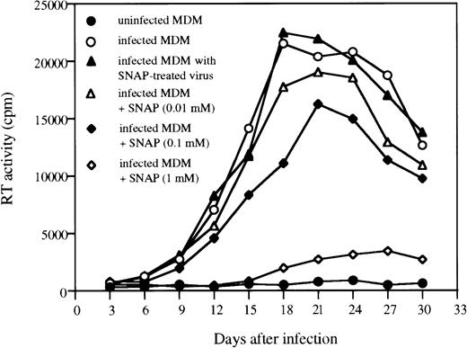 Fig. 5. NO inhibits HIV-1 replication in MDM. HIV-1ADA was incubated with or without SNAP for 3 hours and then MDM was precultured for 7 days in DMEM medium were infected with non–SNAP-treated and SNAP-treated viruses. MDM infected with nontreated virus were maintained in the presence and absence of SNAP. Cultures were fed with fresh DMEM medium and SNAP was replenished every 3 days. Data are representative of three experiments and reflect the average levels of RT activity present in duplicate samples of supernatants, which differed by not more than 15%.