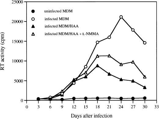 Fig. 6. A NOS inhibitor partially reverses the HIV-1 suppressive effect of astrocytes. MDM precultured for 7 days in DMEM medium were infected with HIV-1ADA. At day 1 postinfection, infected MDM were cocultured with HAA at a 2:3 ratio. Cocultures were fed with fresh DMEM medium with or without L-NMMA (500 μmol/L) every 3 days. Data are representative of two experiments and reflect the average levels of RT activity present in duplicate samples of supernatants, which differed by not more than 15%.