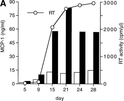 Fig. 1. HIV infection of MDM superinduces MCP-1 secretion. Human MDM were infected with HIV-1 Bal (MOI: 0.1). Culture supernatants were tested for MCP-1 and RT activity contents. (A) One experiment representative of seven independently performed is shown. (B) MCP-1 levels measured at the peak of RT activity in seven independent experiments with cells obtained from eight donors; the mean ± standard deviation (SD) is shown. ** P < .01 versus uninfected by paired Student’s t test. (□) Uninfected; (▪) infected.