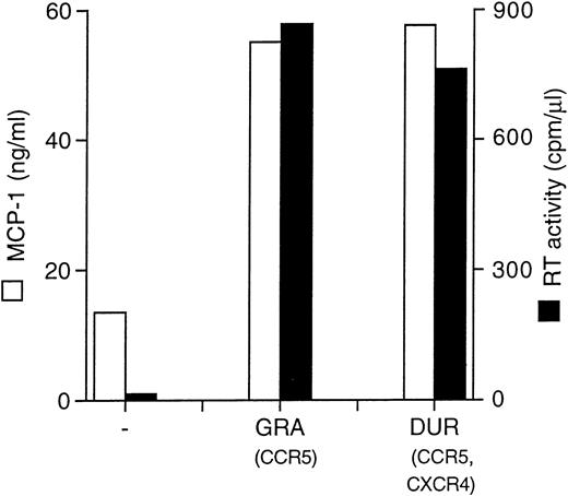 Fig. 3. Primary HIV isolates (GRA and DUR) superinduce MCP-1 secretion in MDM. MCP-1 levels present in uninfected and infected cultures at the peak of RT activity (day 28) are shown.