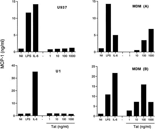 Fig. 5. Effect of exogenous Tat on MCP-1 secretion in U937 and U1 cell lines and in MDM. Both U937 and U1 cells (4 × 105cells/mL) and 5-day old MDM of two donors were incubated with LPS (10 ng/mL), IL-6 (10 ng/mL), or Tat at the indicated concentrations. MCP-1 was measured in U937 and U1 culture supernatants after 48 hours and in MDM culture supernatants after 72 hours of incubation.
