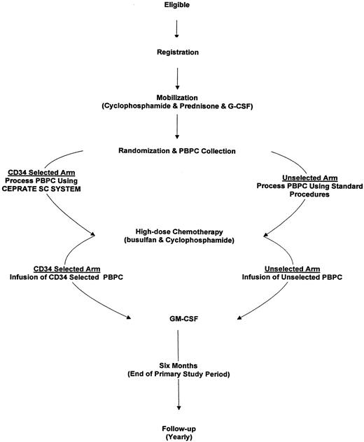 Fig. 1. Schema of study design. Eligible patients were registered and PBPCs were mobilized. Before initiating leukapheresis, patients were randomized to one of the two treatment arms. All patients received high-dose chemotherapy followed by an infusion of either CD34-selected or unselected PBPCs, with GM-CSF administered posttransplant. The primary study period was completed at 6 months posttransplant with follow-up currently at 1 year posttransplant. Additional follow-up is planned on a yearly basis.