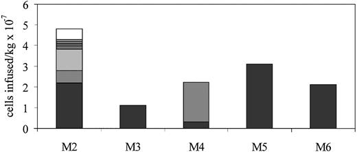 Fig. 4. Summary of LTMC cells infused per kilogram into MPS I dogs. Multiple infusions in M2 and M4 were separated by 3 to 4 weeks. Cell doses administered in multiple infusions are indicated by different shading patterns.