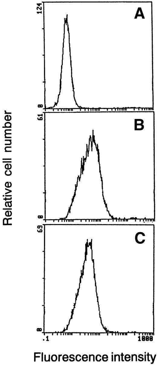 Fig. 1. Flow cytometric analysis of chimeric receptor expression in M1 transformants. M1 cells were transfected with GM-CSFR-LIFR and GM-CSFR βc-LIFR cDNA. The cells were incubated with anti–GM-CSFR (B) or anti–GM-CSFR βc (C). Antibody binding was detected by incubation with fluorescein-conjugated rabbit antimouse immunoglobulin. Samples were analyzed using a flow cytometer. (A) The flow cytometry profile stained with the fluorescein-conjugated second antibody alone.